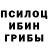 Псилоцибиновые грибы MAGIC MUSHROOMS ashwini kumar