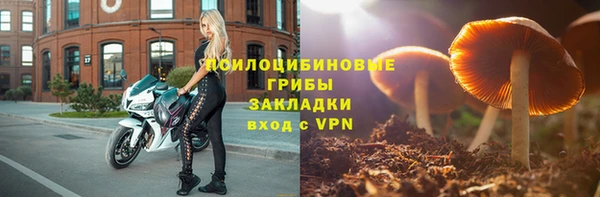 стаф Магадан