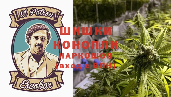стаф Мегион