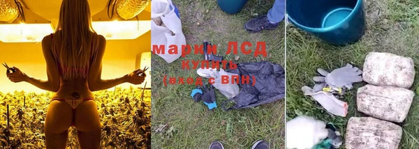 спиды Медвежьегорск