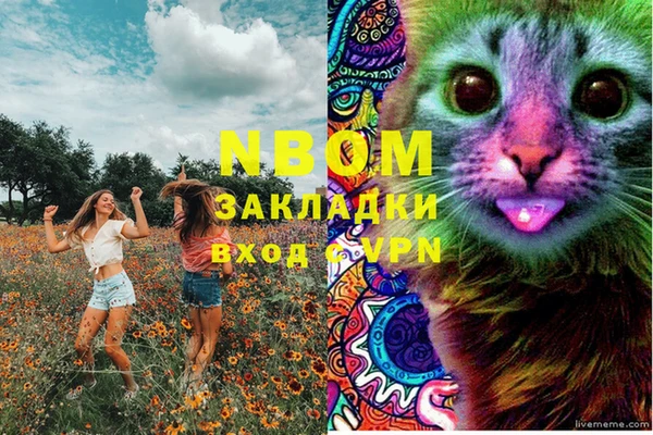 крисы Магас