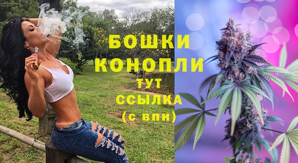 mix Гусиноозёрск