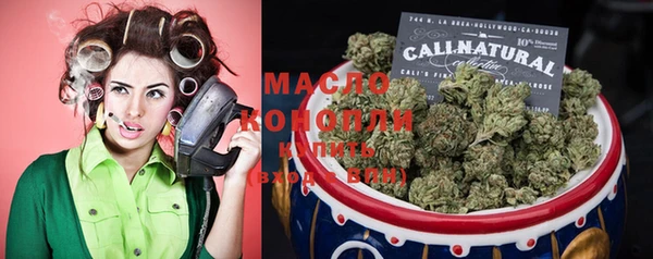 крисы Магас