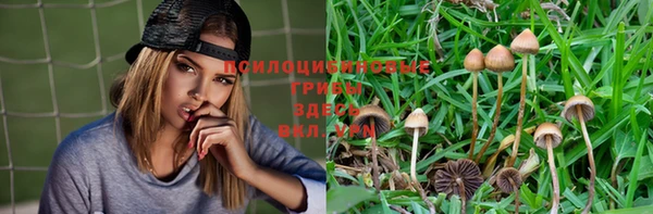 а пвп мука Медногорск